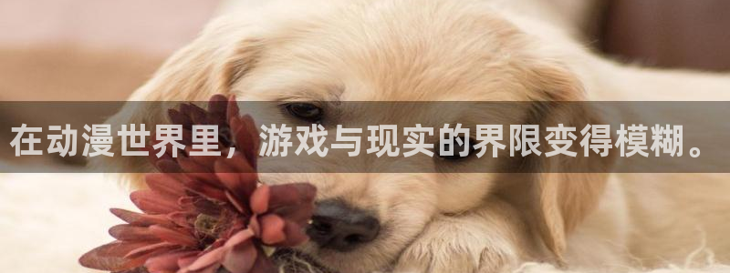 零之使魔樱花动漫：在动漫世界里，游戏与现实的界限变得模糊。