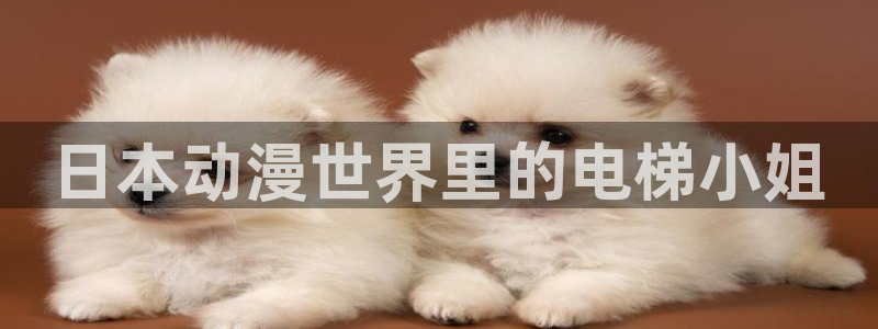 甜蜜惩罚樱花动漫未删减：日本动漫世界里的电梯小姐