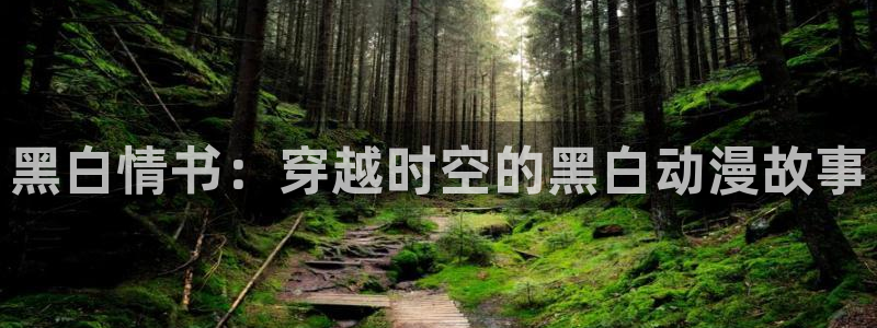 樱花动漫影院www动漫影院：黑白情书：穿越时空的黑白动漫故事