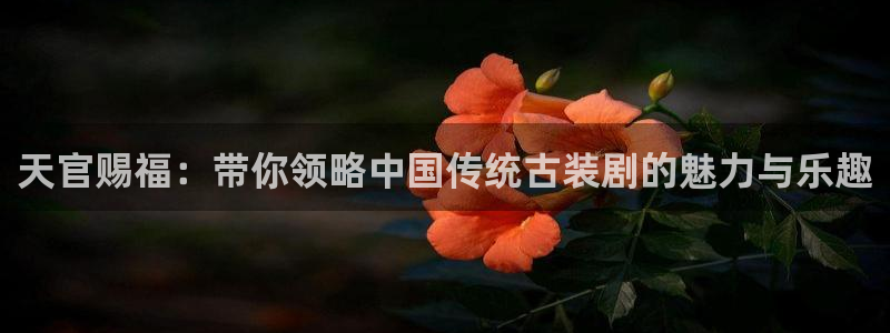 樱花动漫柯南：天官赐福：带你领略中国传统古装剧的魅力与乐趣