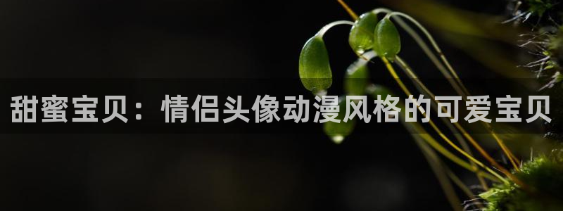 jojo全部免费樱花动漫：甜蜜宝贝：情侣头像动漫风格的可爱宝贝