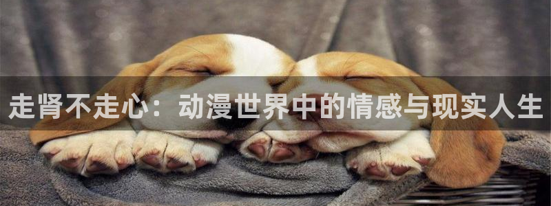 樱花动漫碧蓝之海：走肾不走心：动漫世界中的情感与现实人生