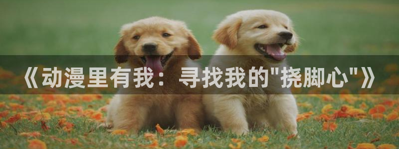 樱花动漫网手机版下载：《动漫里有我：寻找我的\